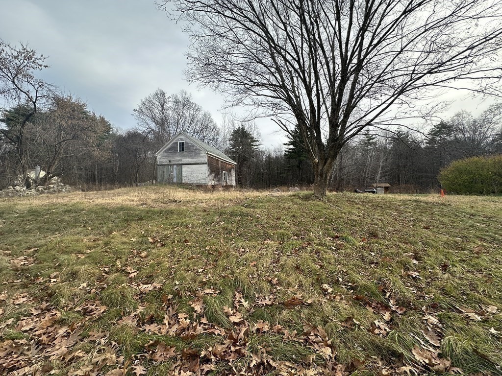 37 True Road Salisbury, MA 01952 - Photo 6 of 28 a large tree in the middle of a yard