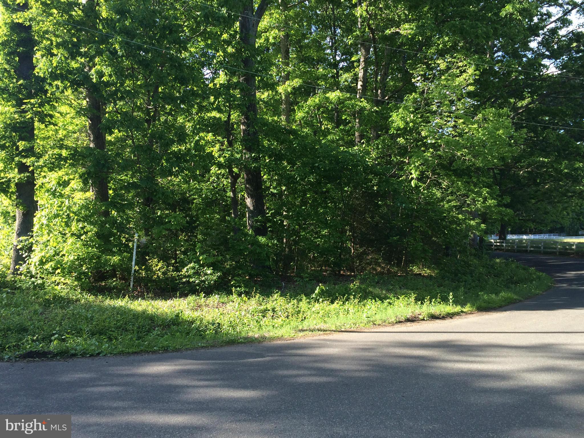 Rogues Road Midland, VA 22728 - Photo 1 of 6 Rogue Rd View