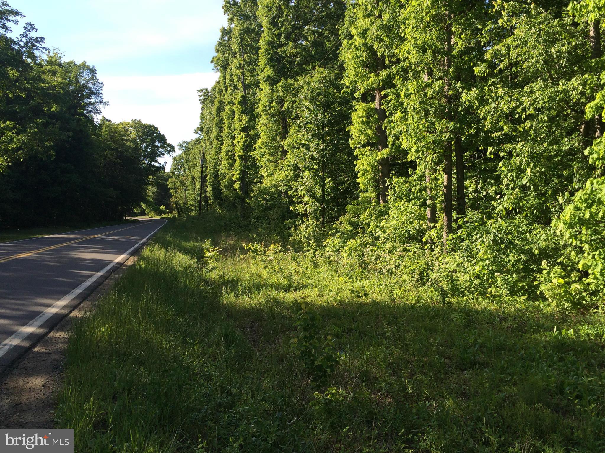Rogues Road Midland, VA 22728 - Photo 2 of 6 Meetze Rd view