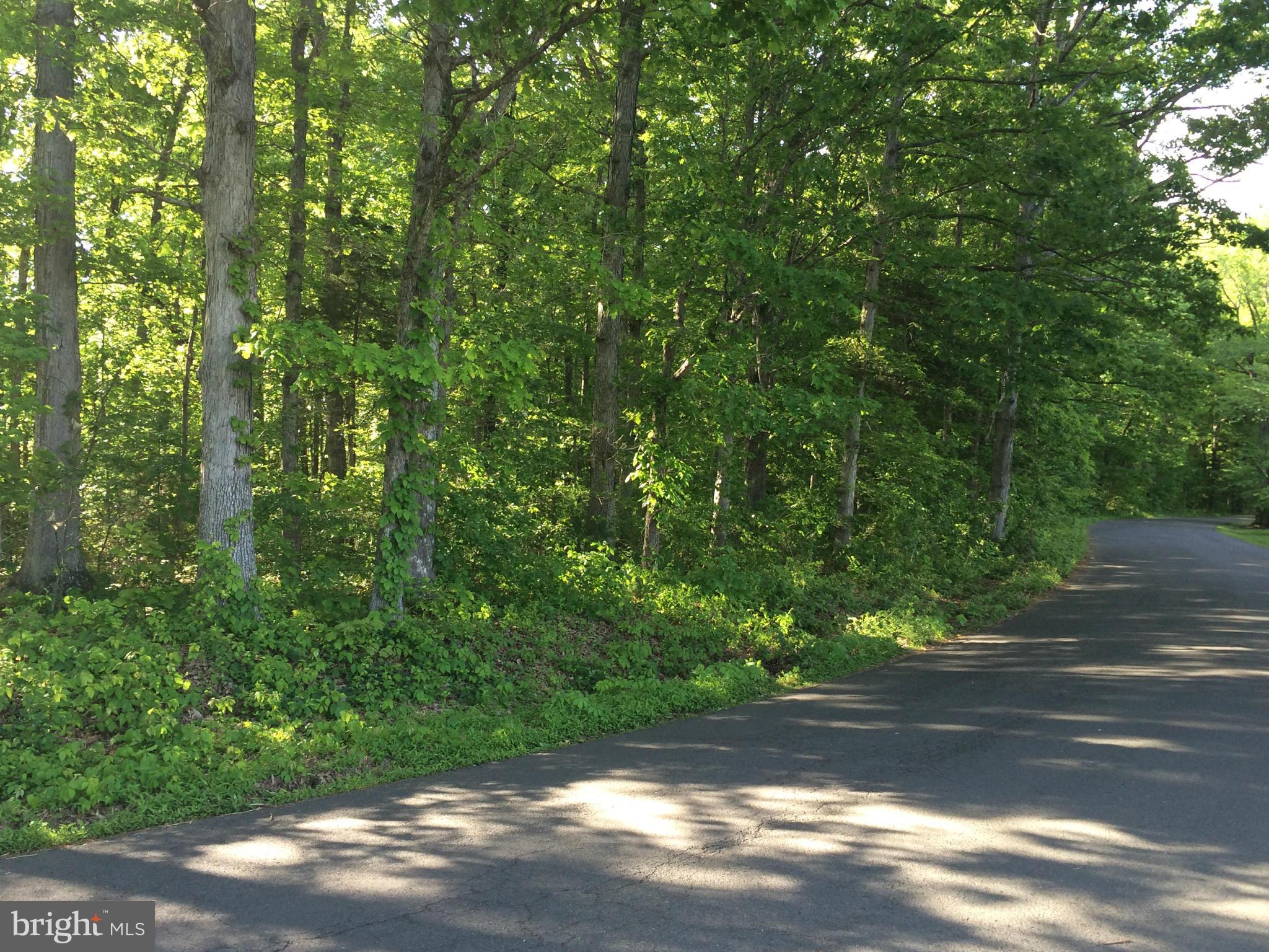Rogues Road Midland, VA 22728 - Photo 4 of 6 Rogue Rd view
