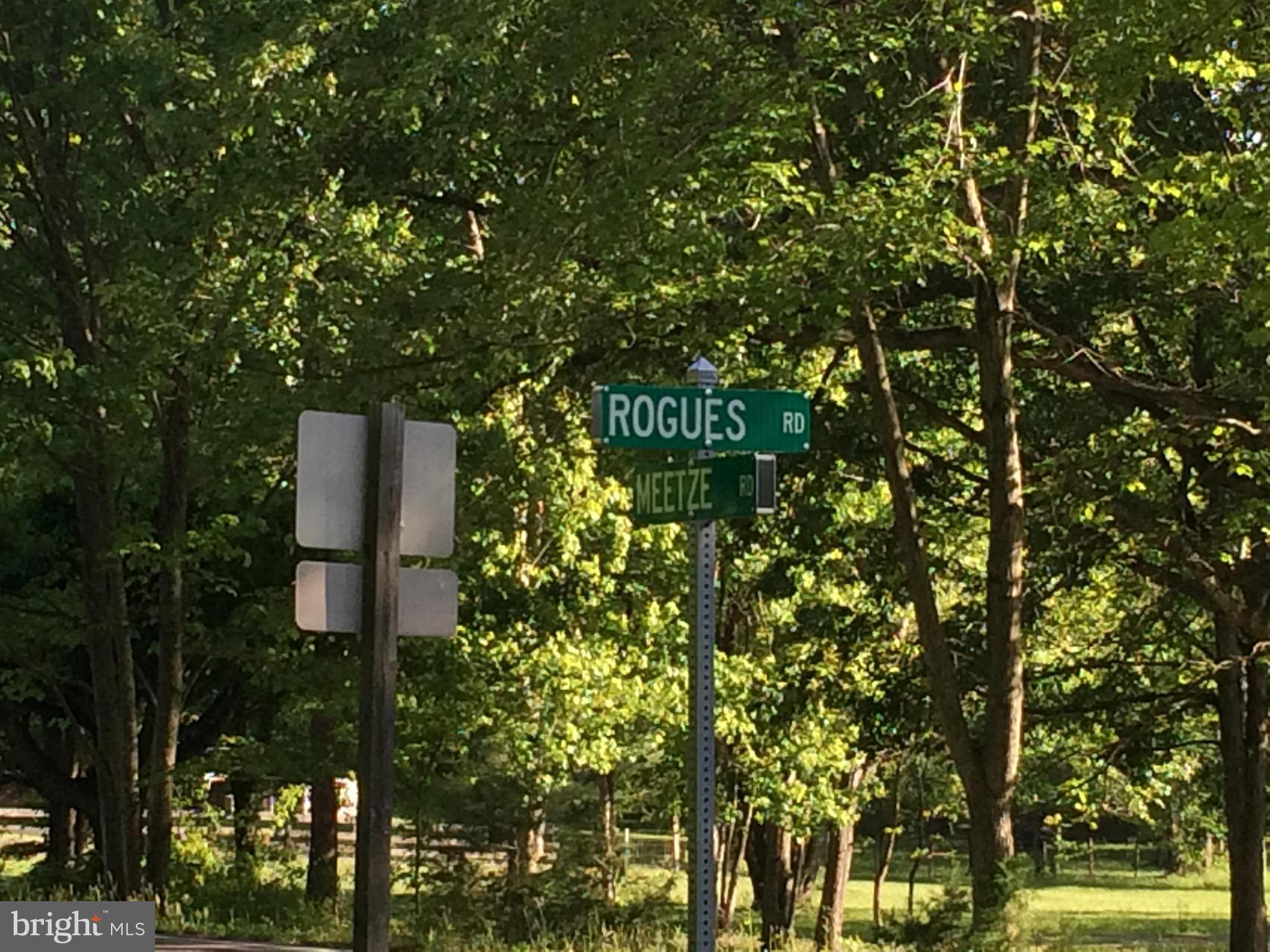 Rogues Road Midland, VA 22728 - Photo 5 of 6 Corner of Meetze and Rogue