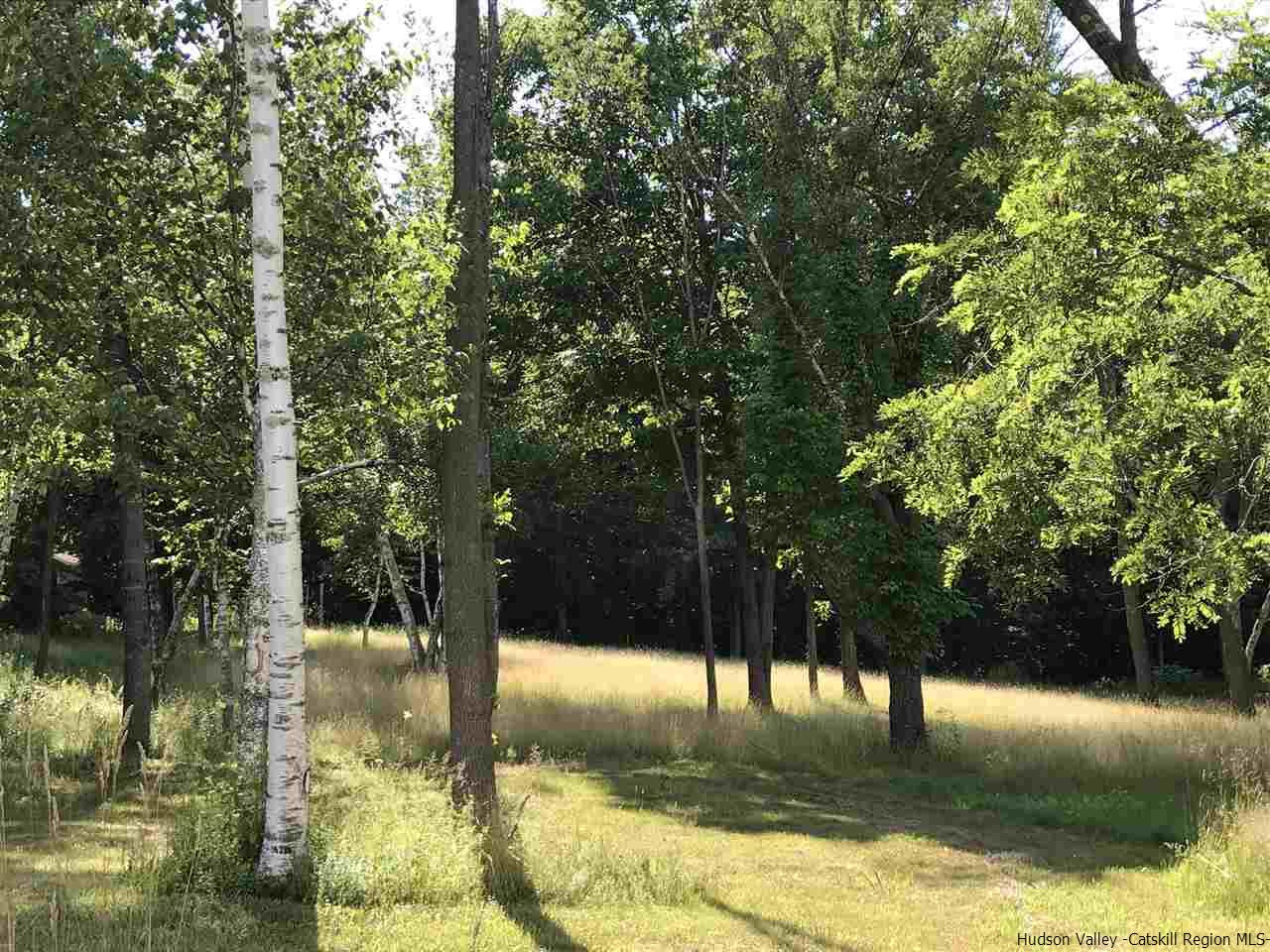 8 Bailey Road Purling, NY 12470 - Photo 17 of 21 a view of water view