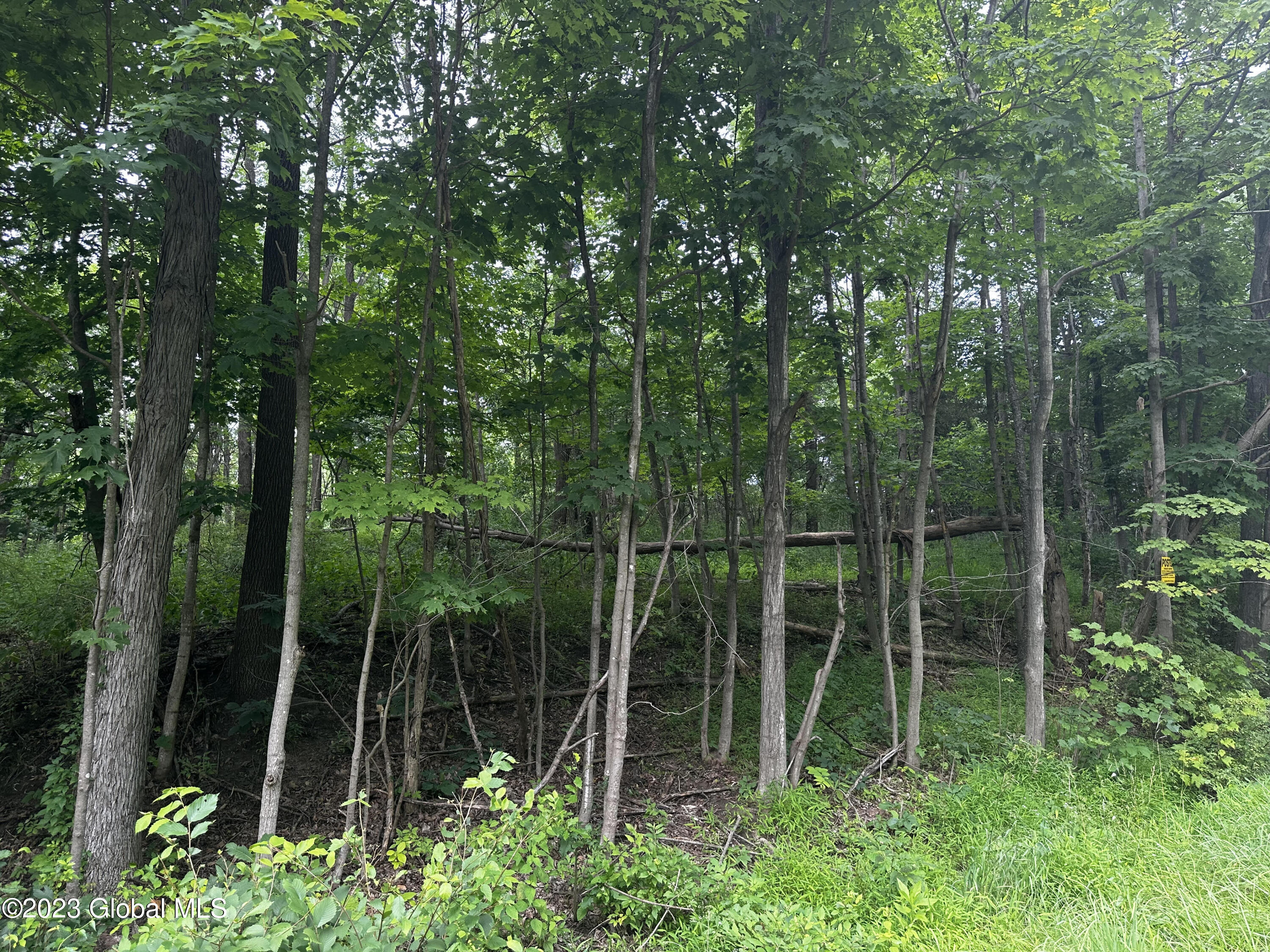 unnamed (1)