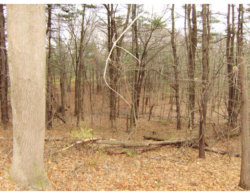71 Haggetts Pond Road Andover, MA 01810 - Photo 1 of 1