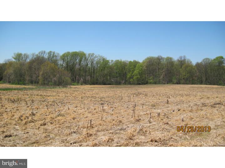535 Newark Road Landenberg, PA 19350 - Photo 3 of 11 a black and white photo of a field