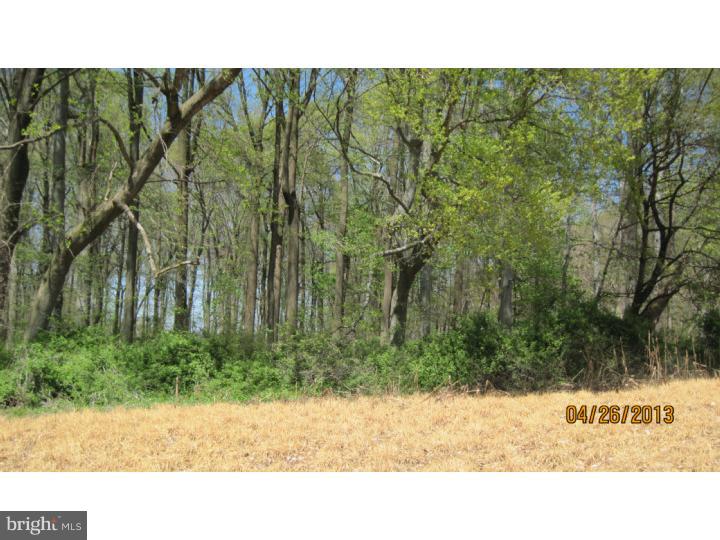 535 Newark Road Landenberg, PA 19350 - Photo 4 of 11 a picture of a park