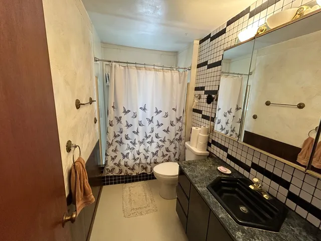 a bathroom with a granite countertop shower a toilet and a shower
