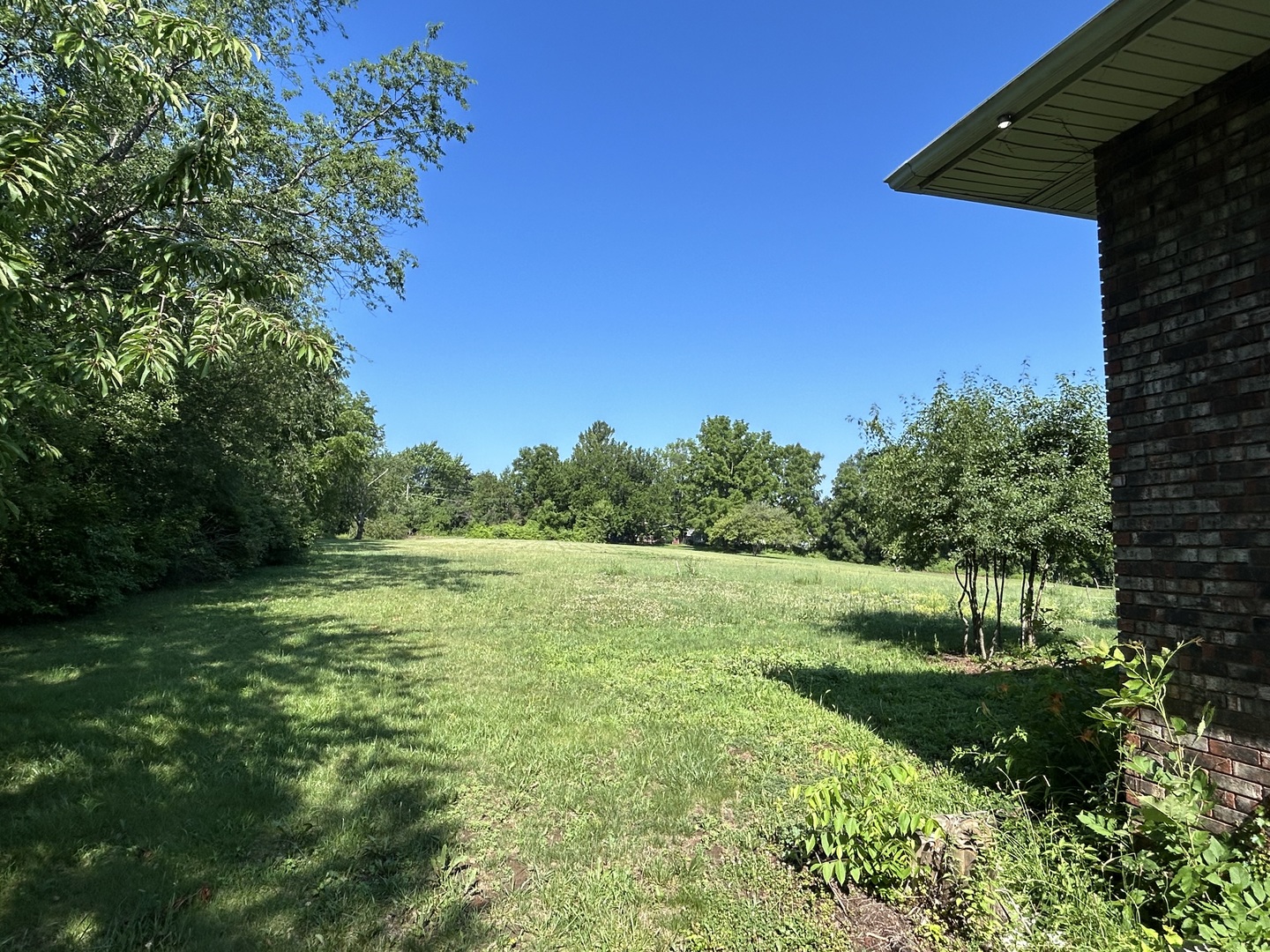 194 South Collins Street South Elgin, IL 60177 - Photo 25 of 48 a view of a lush green space
