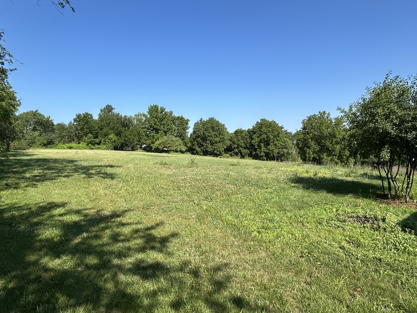 194 South Collins Street South Elgin, IL 60177 - Photo 26 of 48 a view of a grassy field with trees in the background