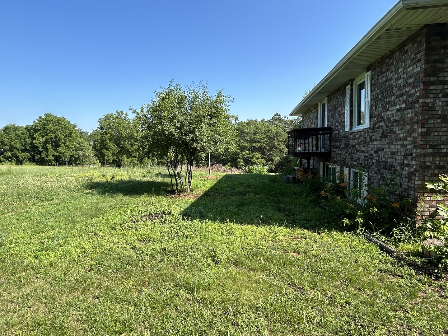 194 South Collins Street South Elgin, IL 60177 - Photo 27 of 48 a view of backyard with green space
