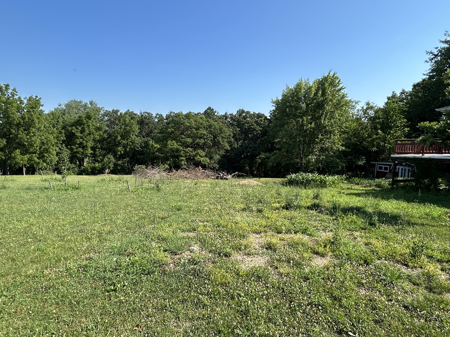 194 South Collins Street South Elgin, IL 60177 - Photo 28 of 48 a view of green field with trees in the background