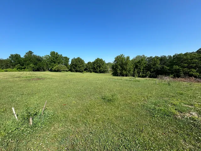 a view of field with tall trees in the background