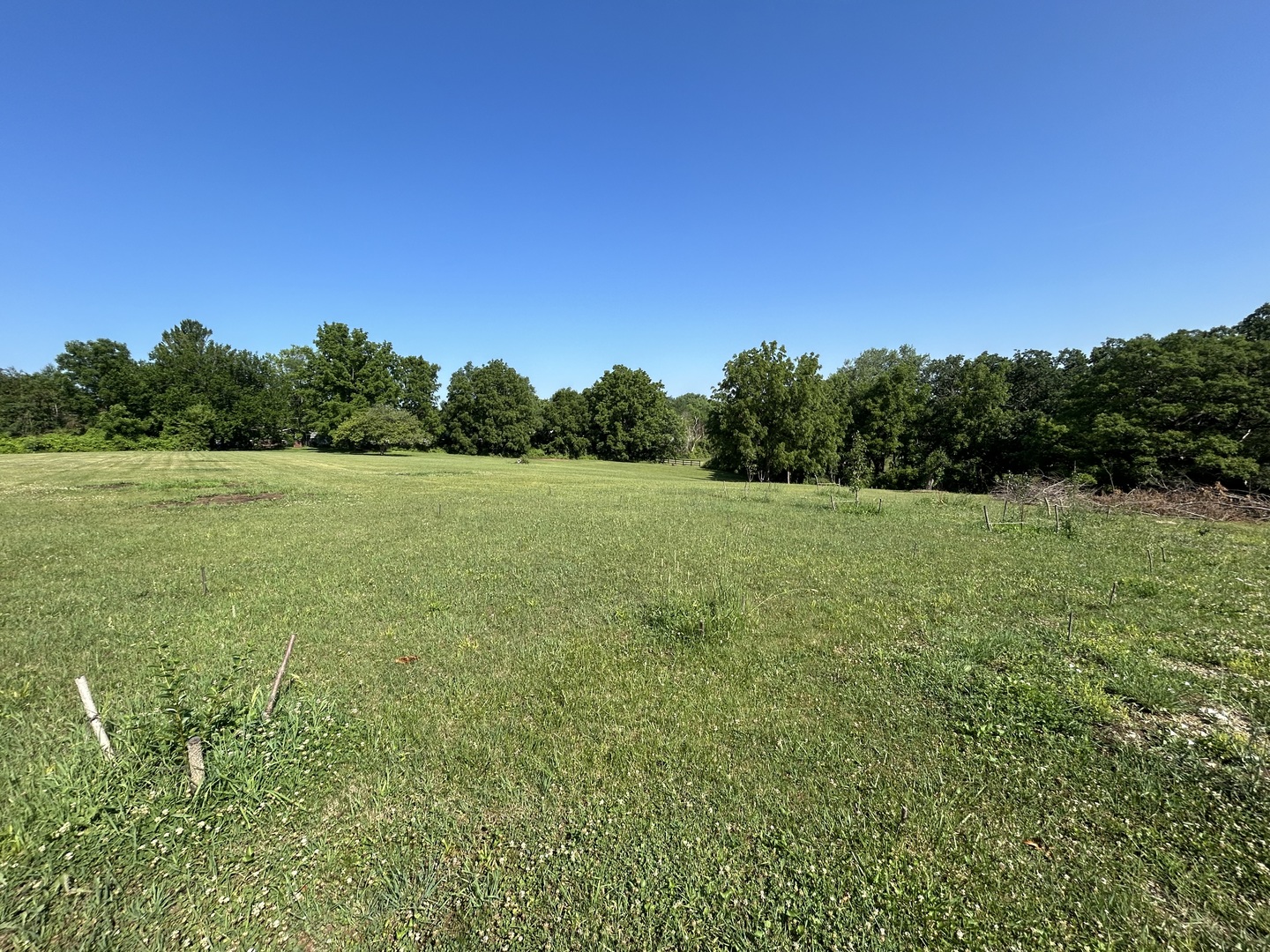 194 South Collins Street South Elgin, IL 60177 - Photo 29 of 48 a view of a field with an outdoor space