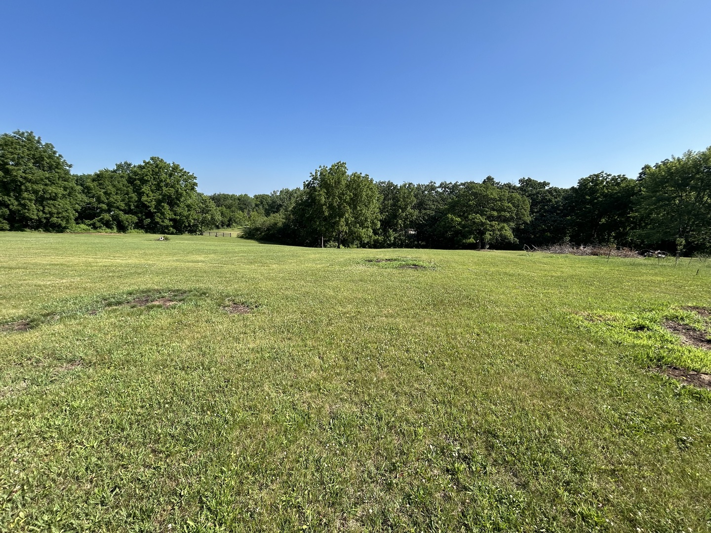 194 South Collins Street South Elgin, IL 60177 - Photo 30 of 48 a view of field with tall trees in the background