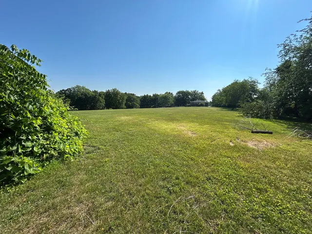 a view of field with trees in the background
