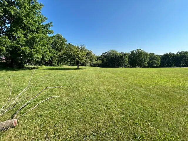 a view of a field with a trees in the background