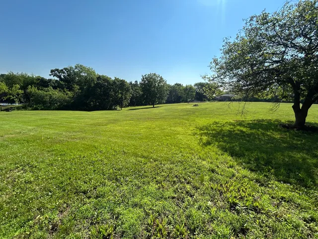 a view of a field with trees in the background