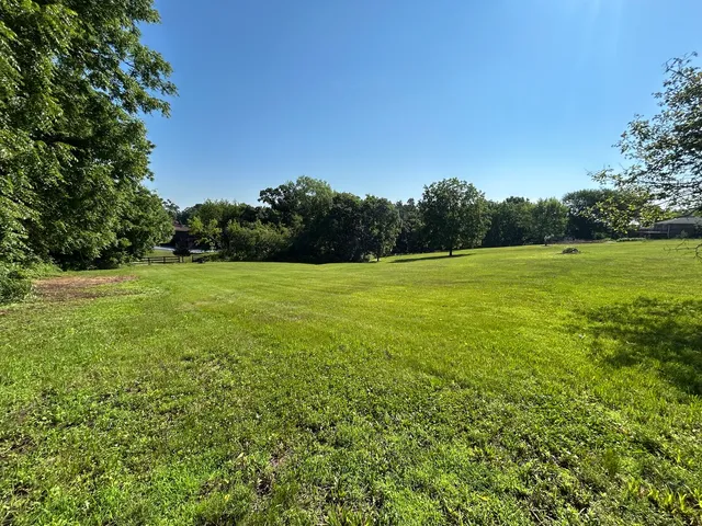a view of a grassy field with an trees