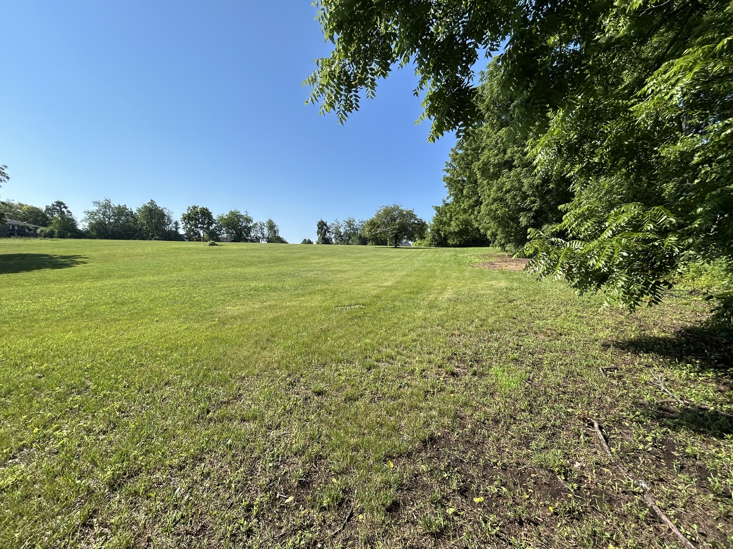 194 South Collins Street South Elgin, IL 60177 - Photo 38 of 48 a view of an ocean from a yard
