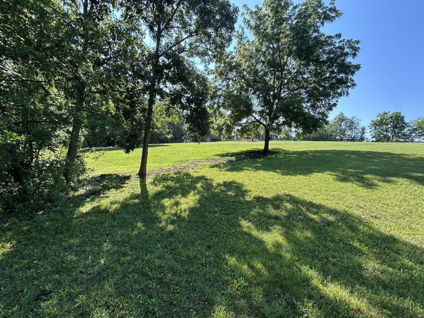 194 South Collins Street South Elgin, IL 60177 - Photo 40 of 48 a view of a trees in a park