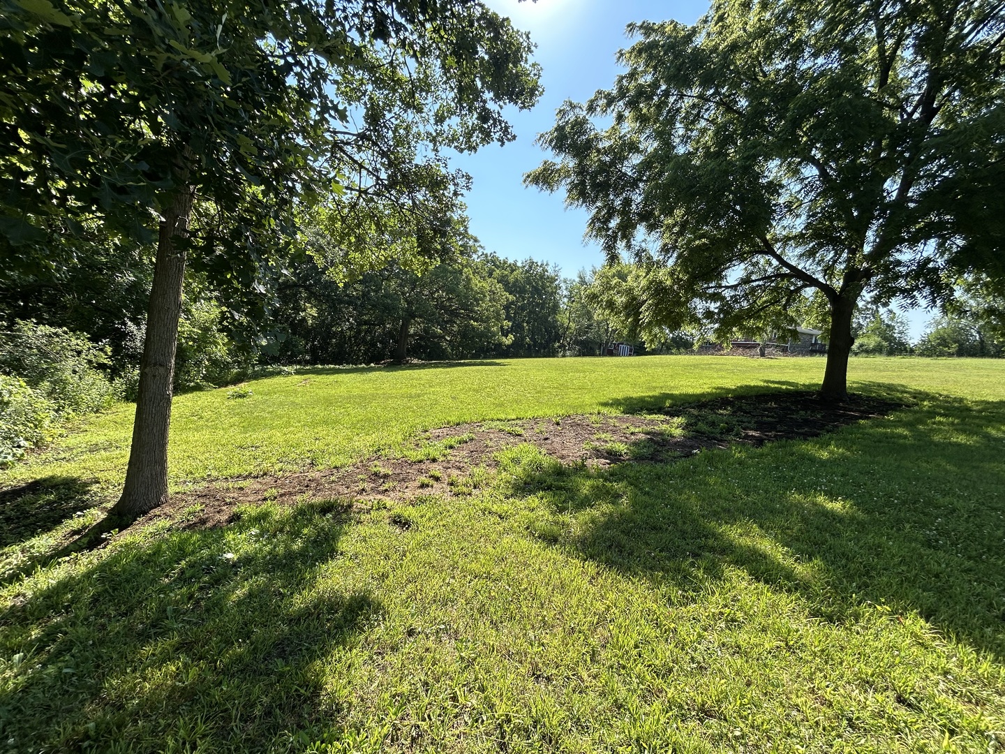 194 South Collins Street South Elgin, IL 60177 - Photo 41 of 48 a view of a field with a tree