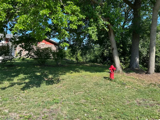 $550,000 | 194 South Collins Street, South Elgin, IL 60177