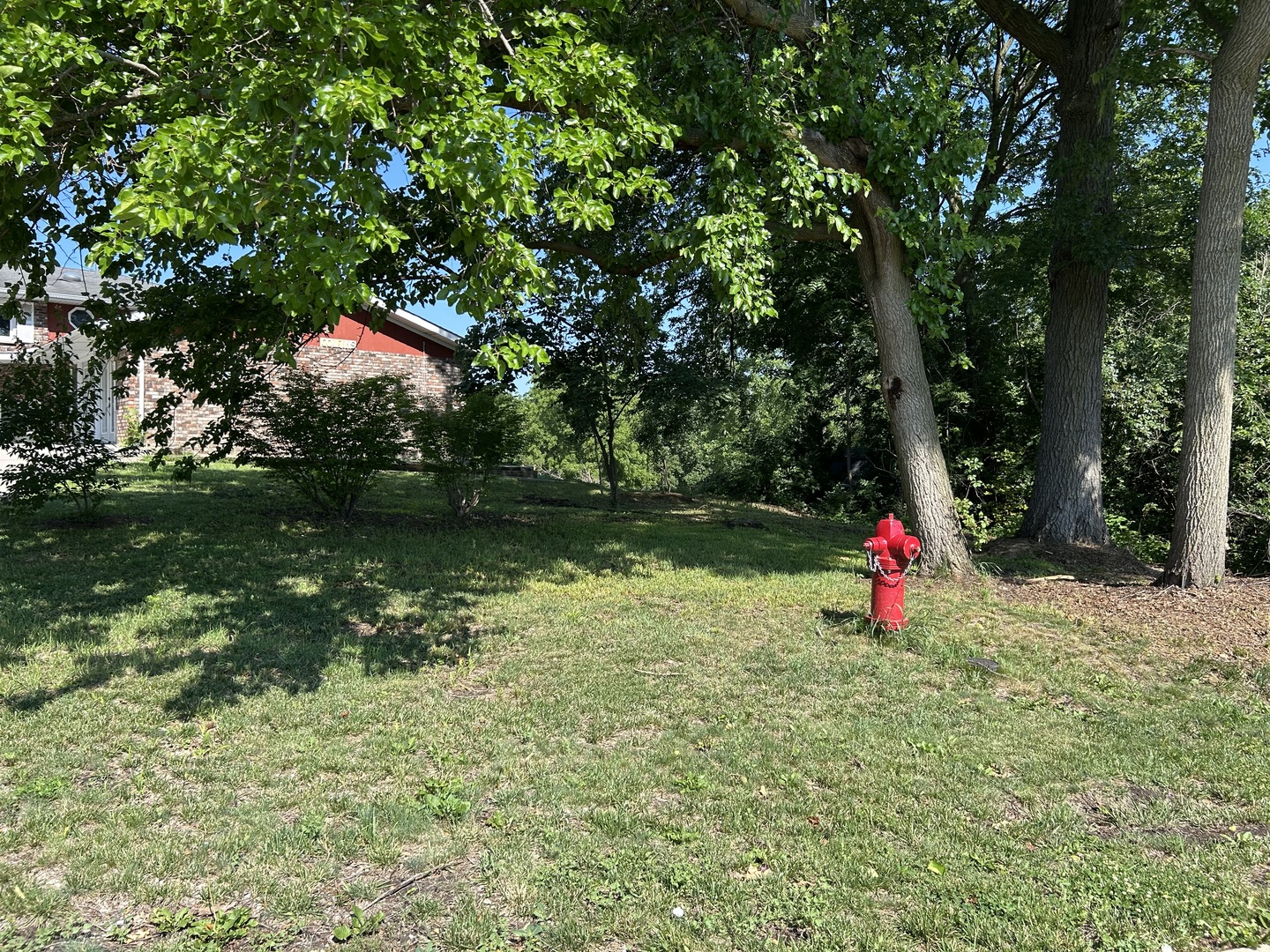 194 South Collins Street South Elgin, IL 60177 - Photo 48 of 48 a view of a park with large trees