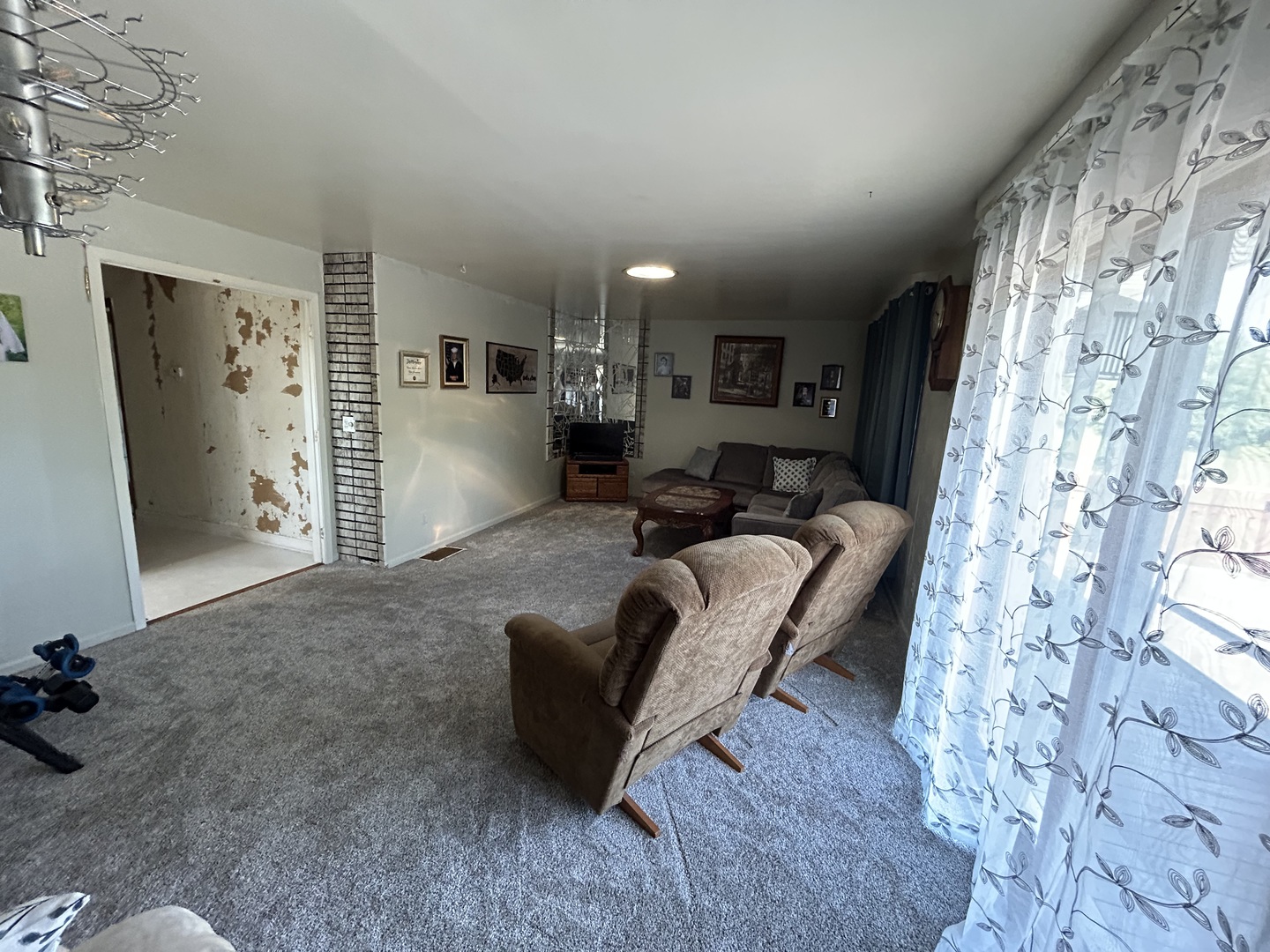194 South Collins Street South Elgin, IL 60177 - Photo 8 of 48 a living room with furniture and a rug