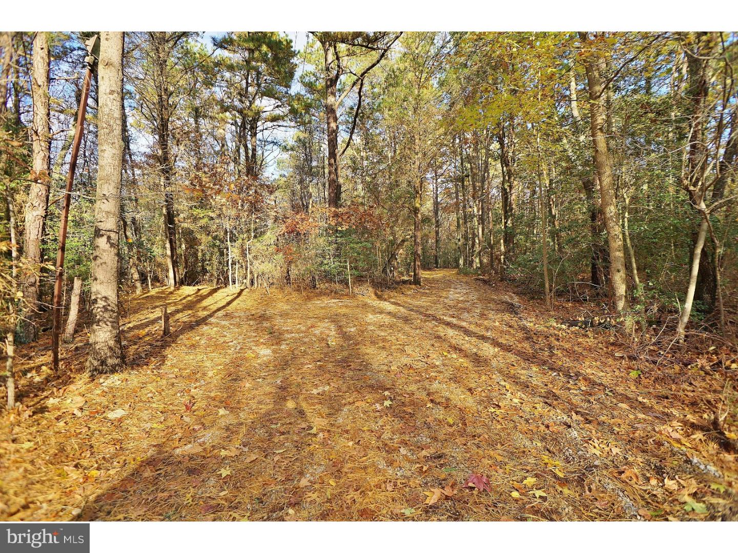 287 Three Bridge Road Monroeville, NJ 08343 - Photo 4 of 18
