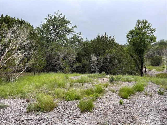 a view of a lush green space