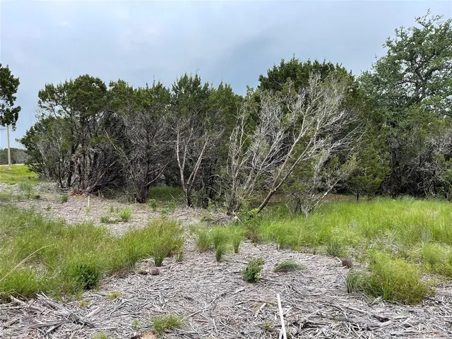 a view of backyard with green space