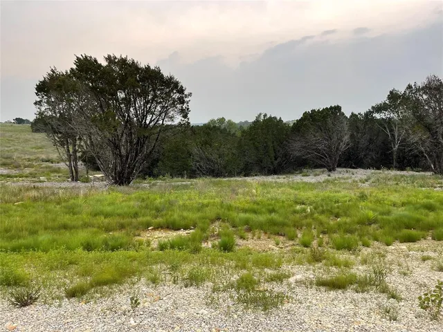 a yard with lots of tress in front of it