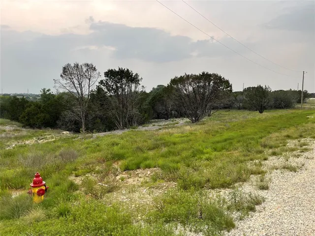 a view of a field with a tree in the background