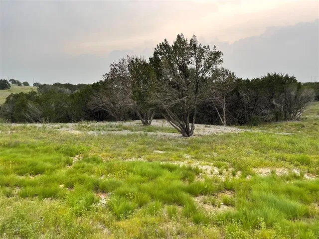 a big yard with lots of green space and fog