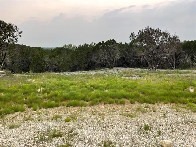 a view of outdoor space with garden and trees