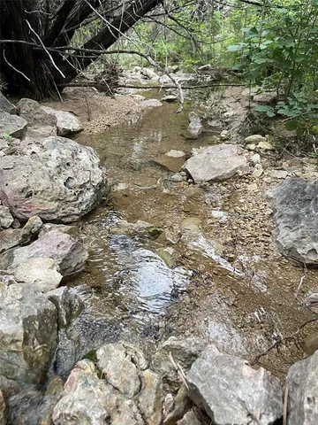a view of a dry yard with lots of trees