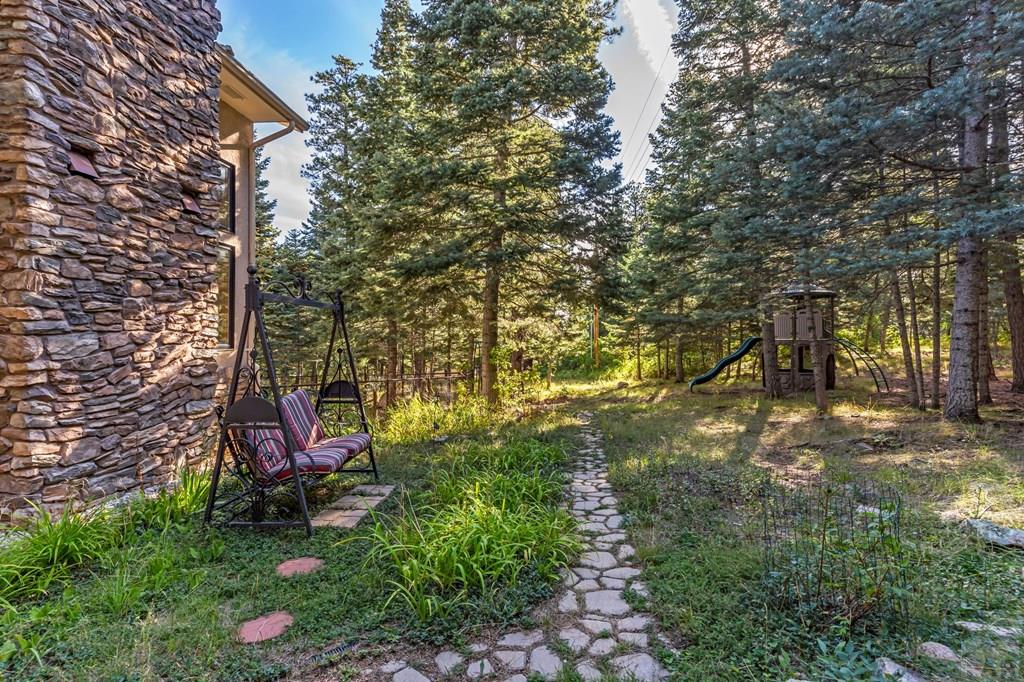 8262 William Drive Rye, CO 81069 - Photo 68 of 100 Gallery Image 68