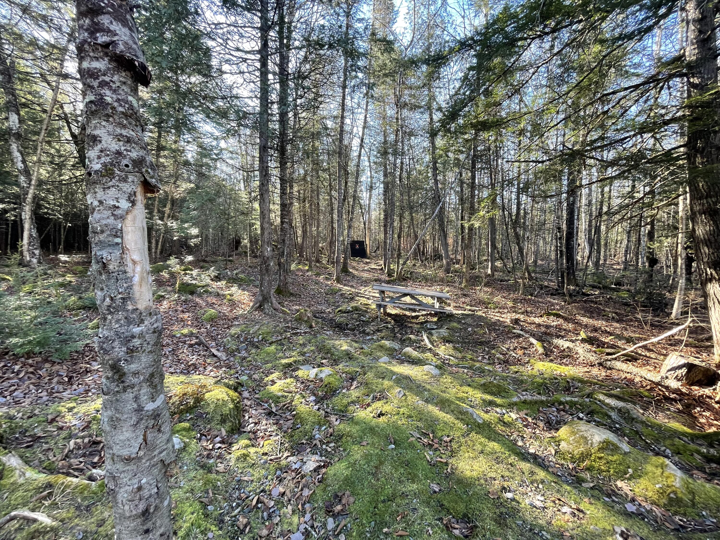 1197 Notch Road Canaan, ME 04924 - Photo 20 of 21 IMG_0336