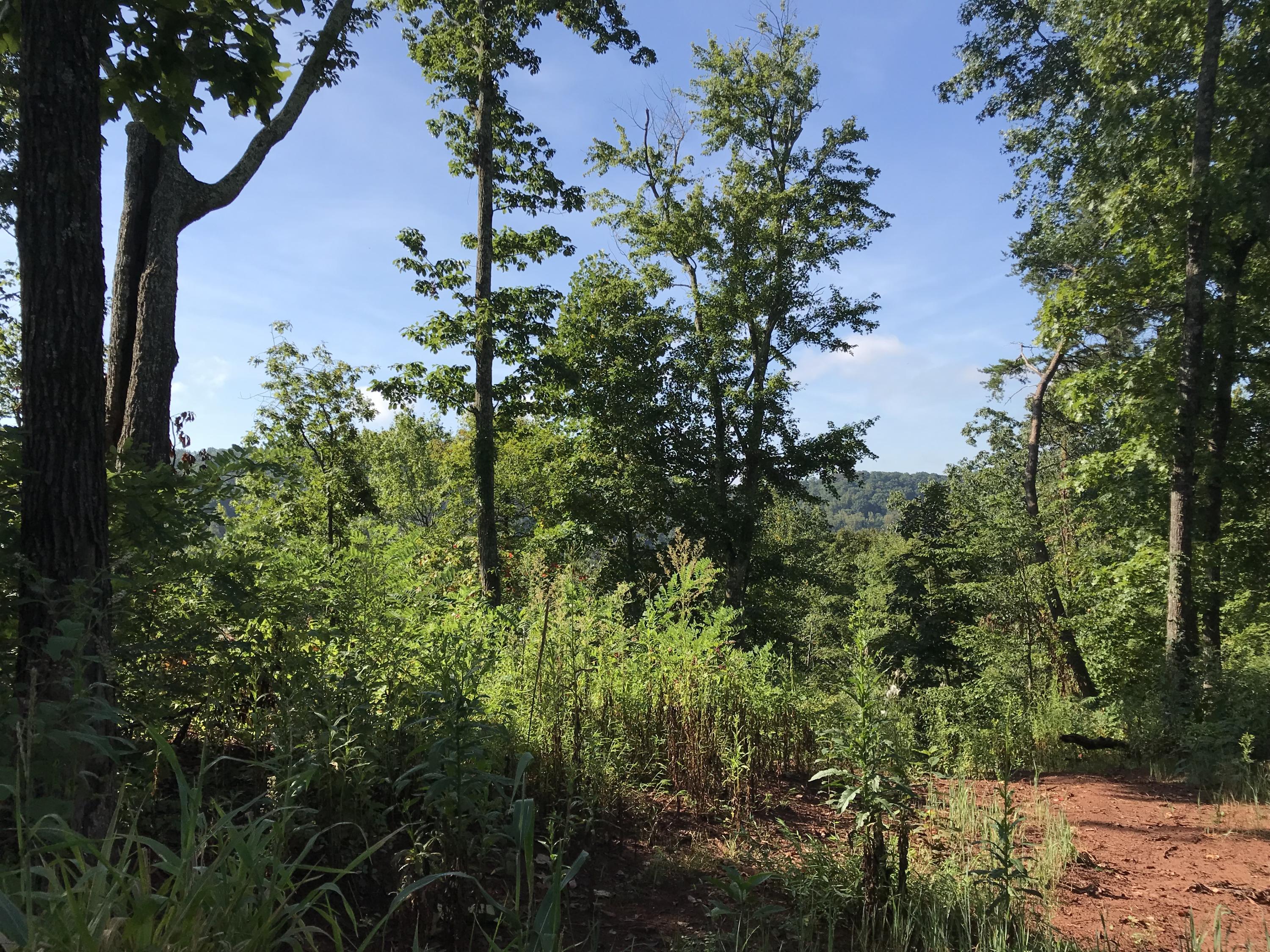1475 Rhea Road Knoxville, TN 37920 - Photo 12 of 12 IMG_0051