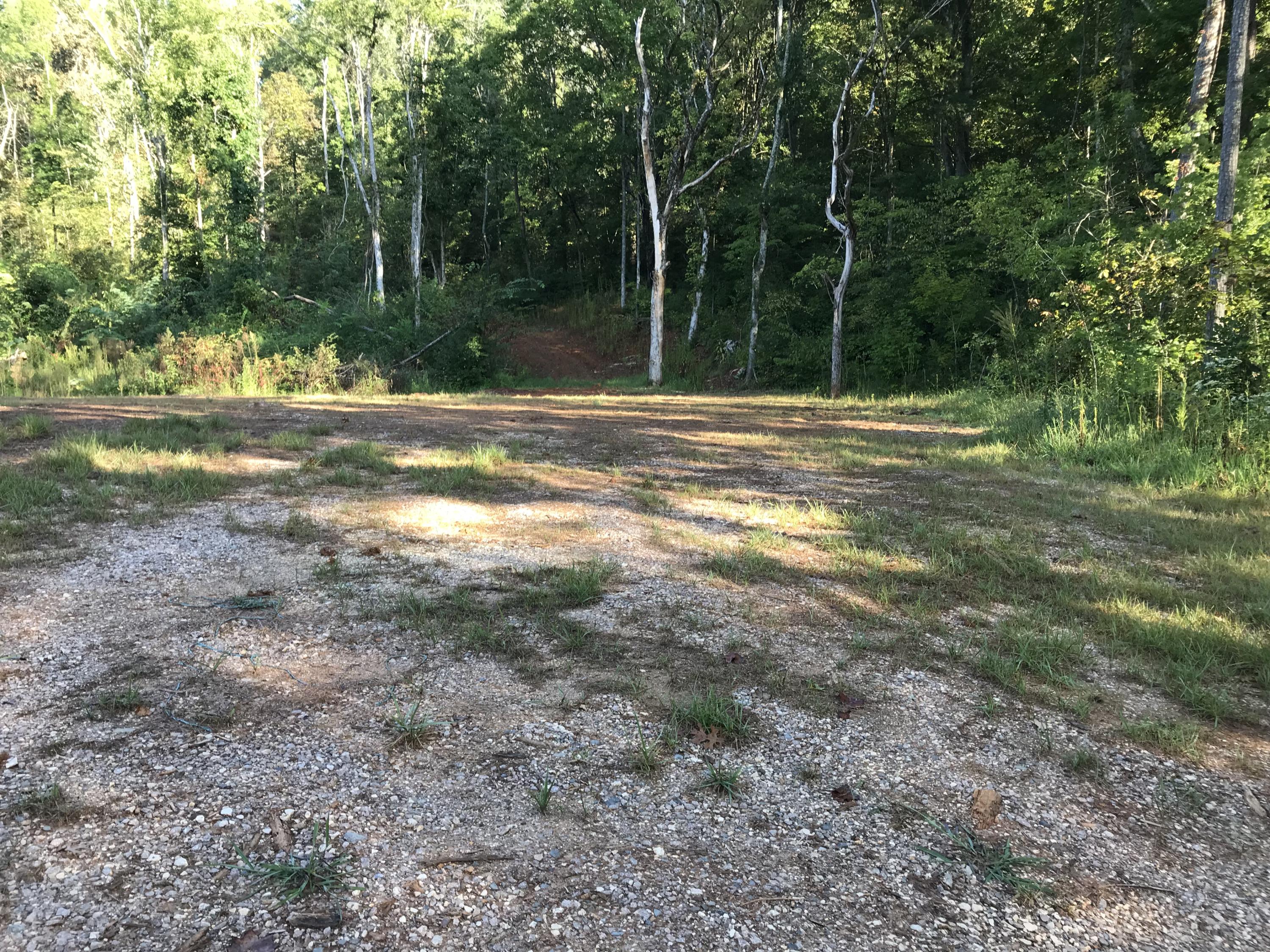 1475 Rhea Road Knoxville, TN 37920 - Photo 3 of 12 IMG_0041