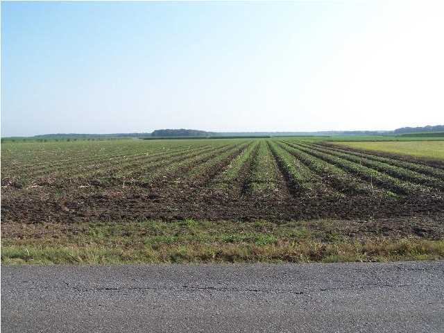 0 Old Jeanerette Road New Iberia, LA 70563 - Photo 11 of 12 Additional Photo