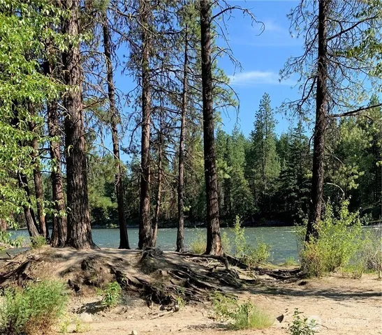 a view of a backyard of a house