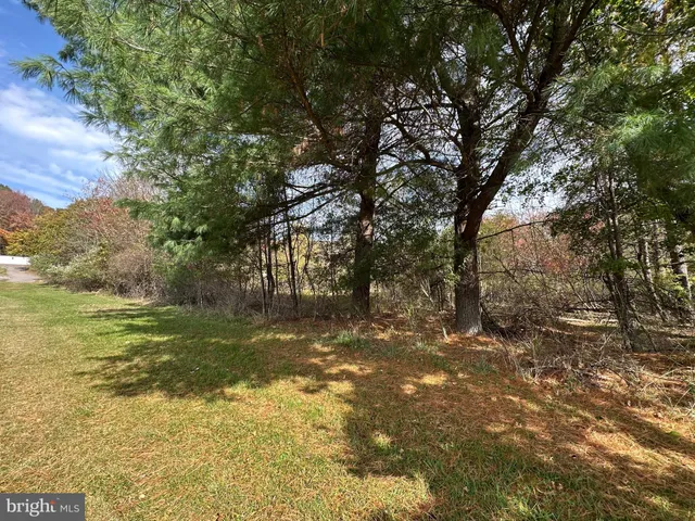 a view of a yard with trees