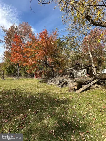 a view of a field with an trees