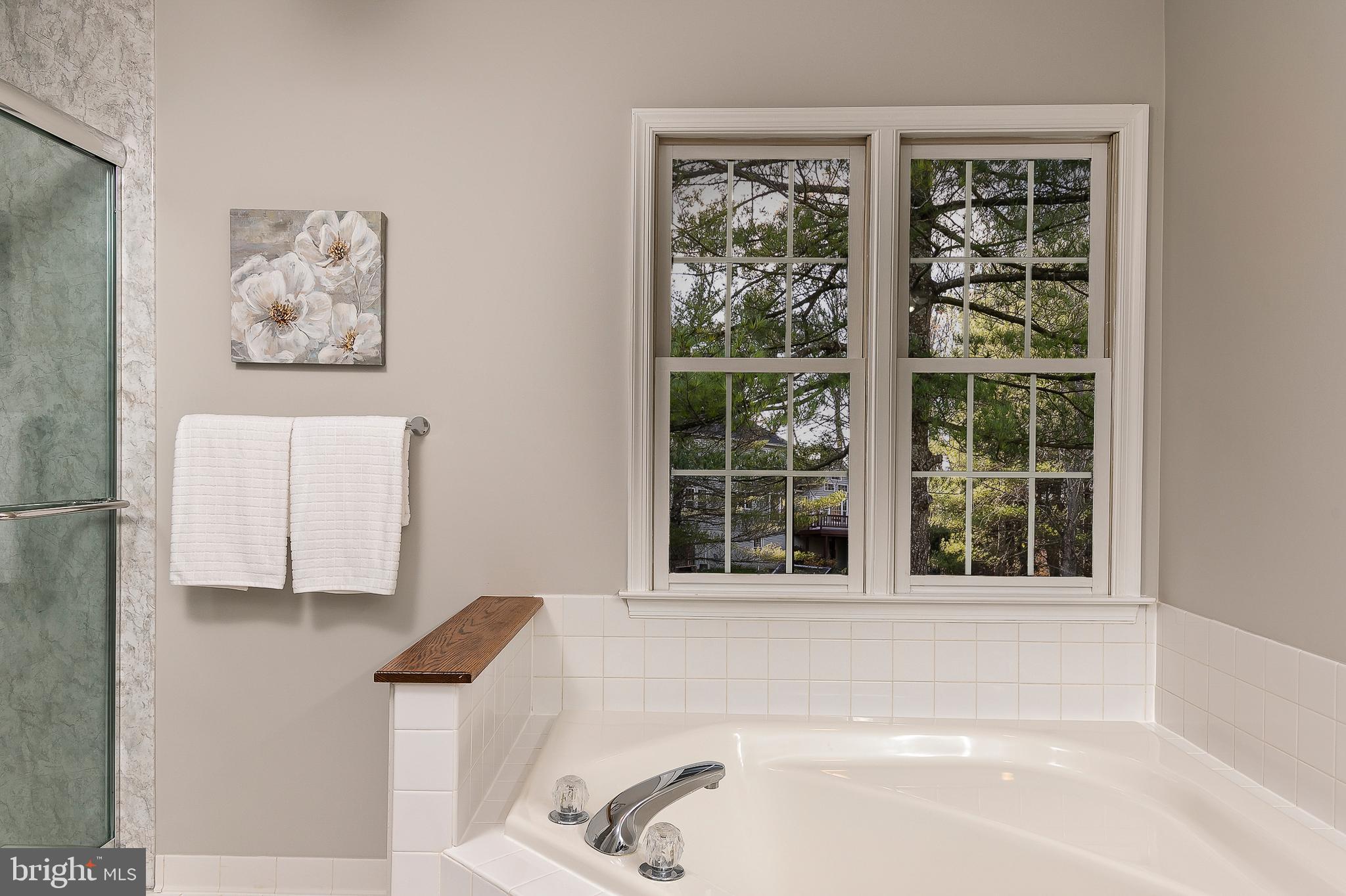 2408 McKenzie Road Ellicott City, MD 21042 - Photo 25 of 42 Primary Bathroom (alt view)