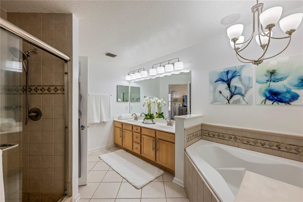 7420 Cypress Grove Road, Unit 132 Orlando, FL 32819 - Photo 17 of 52 a bathroom with a tub sink and mirror