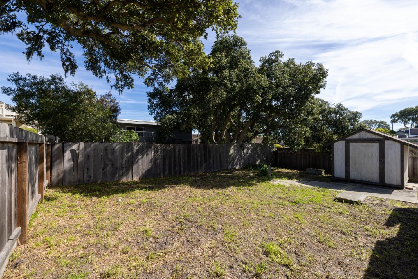 662 Oak Street Monterey, CA 93940 - Photo 27 of 32 a view of a backyard with a tree