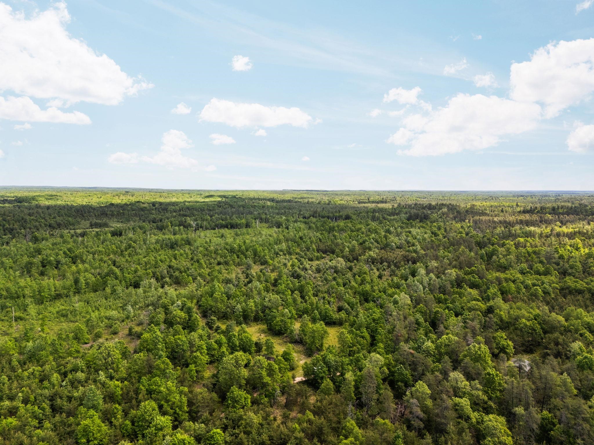 4011 West Forest Road Lake City, MI 49651 - Photo 18 of 36