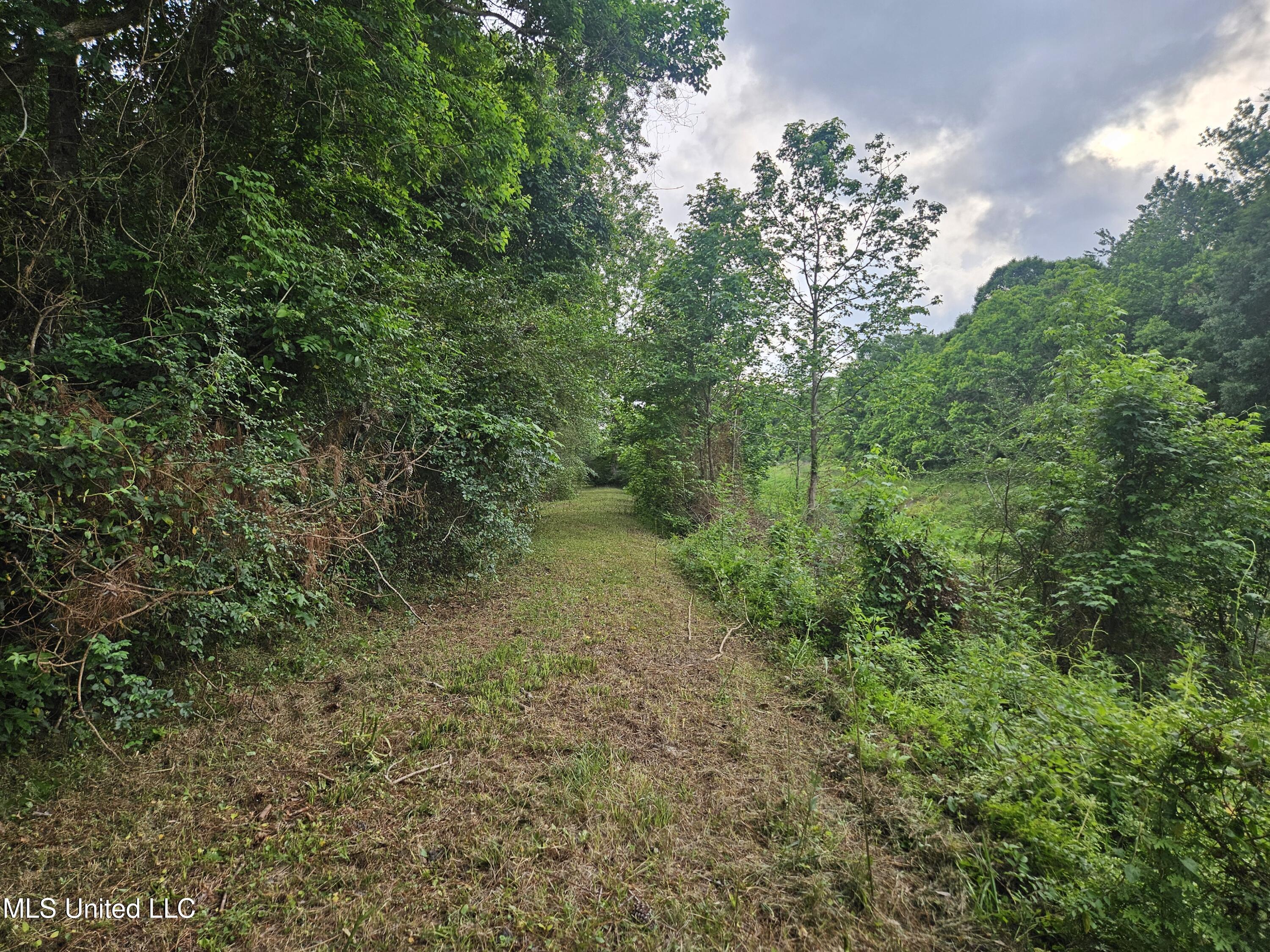 6067 Daugherty Road Long Beach, MS 39560 - Photo 49 of 59 Canal Frontage