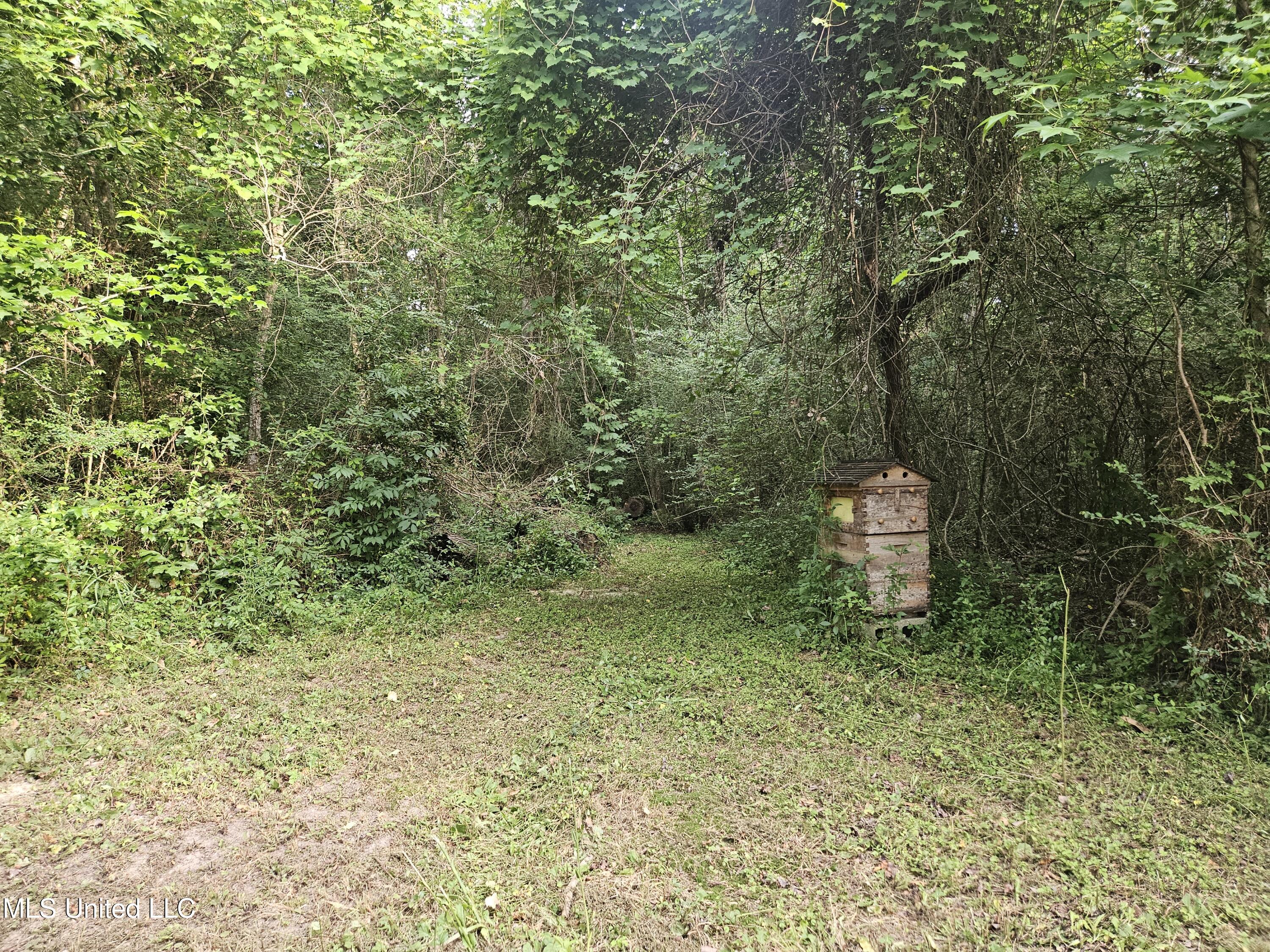 6067 Daugherty Road Long Beach, MS 39560 - Photo 51 of 59 Nature Trails